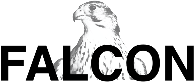Falcon Logo